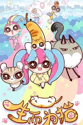 山东seo公司哪个便宜